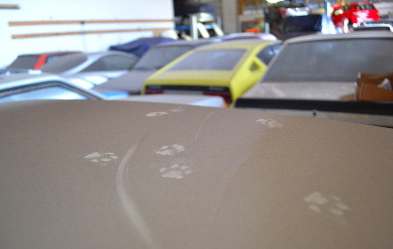 Illustration for article titled The Ultimate Secret Stash Of Mitsubishis Is Hidden In This Small German Town